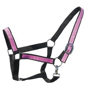 2'' Wide Draft Halter