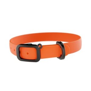 Nuvuq Dog Collar