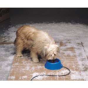 Api Heated Dog Bowl – Blue