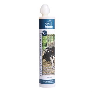 Cartouche Bond Express XL