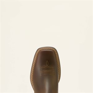 Youth Booker Chelsea Brown Boots Ariat