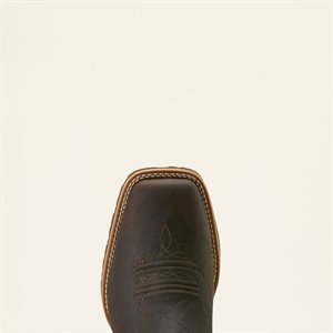 MENS LOW BOY BROWN ARIAT BOOTS 10E