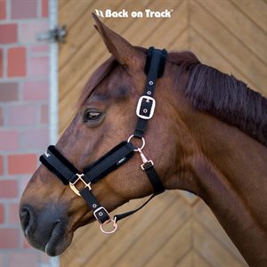 Hc Halter