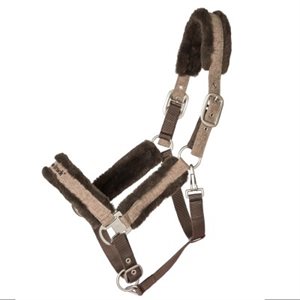 Hc Halter