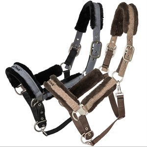 Hc Halter