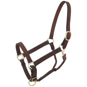 Licou en cuir avec mousqueton, taille cheval