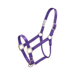 Premium Poly Halter Weanling