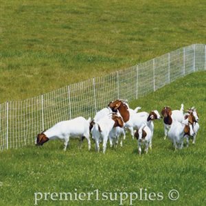 Electrostop Netting Single Spike 10/42/12 50M