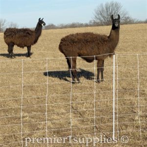 Electrostop Netting Single Spike 10/42/12 50M