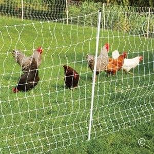 Premier 1 Poultrynet 12/48/3 Ss 50M