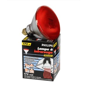 Ampoule chauffante Philips Rouge 175W