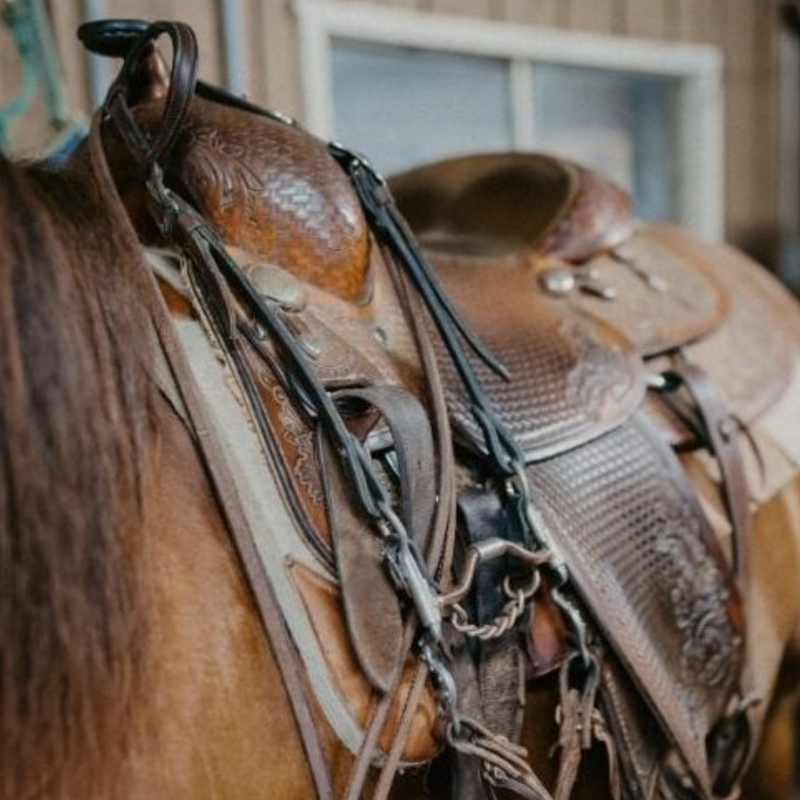 Close-up of a brown leather saddle on a horse with a blurred indoor background