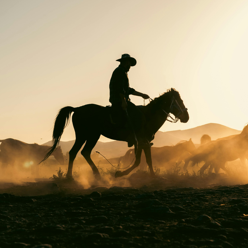Silhouette of a cowboy riding a horse with a sunset background