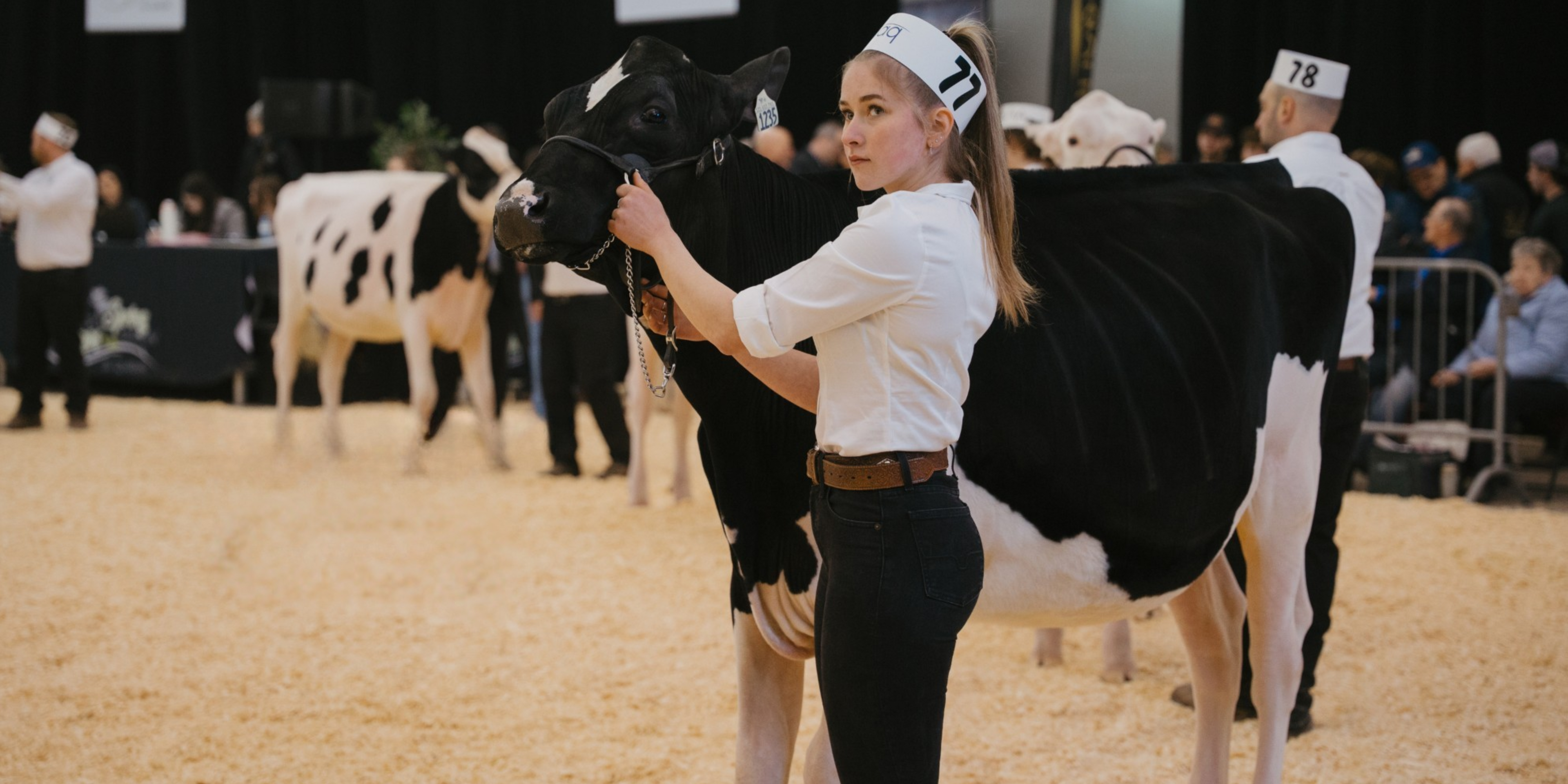 Woman holding a cow at a livestock show with other cows and people in the background.