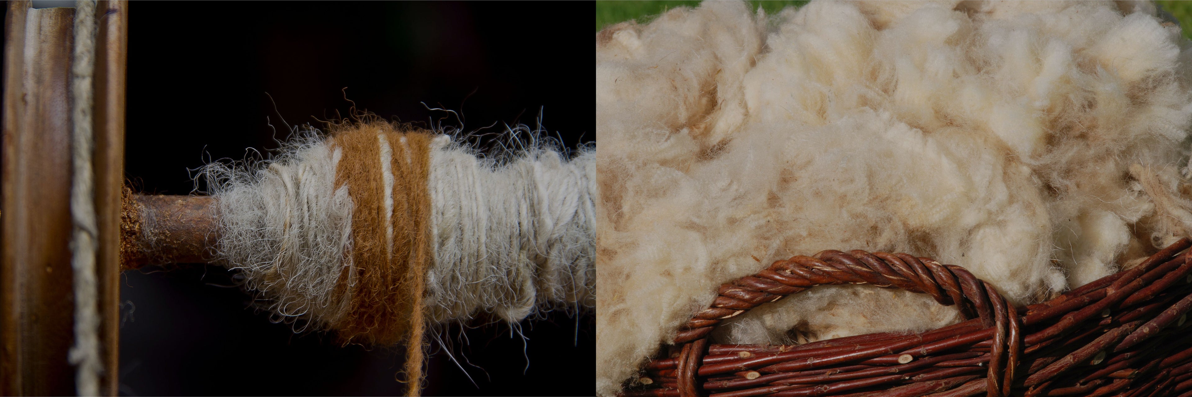 Two images side by side: one of a spool of yarn and the other of fluffy white wool in a basket.