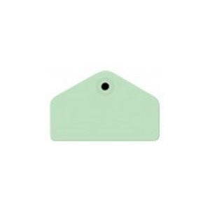 Allflex Global Hog Tag