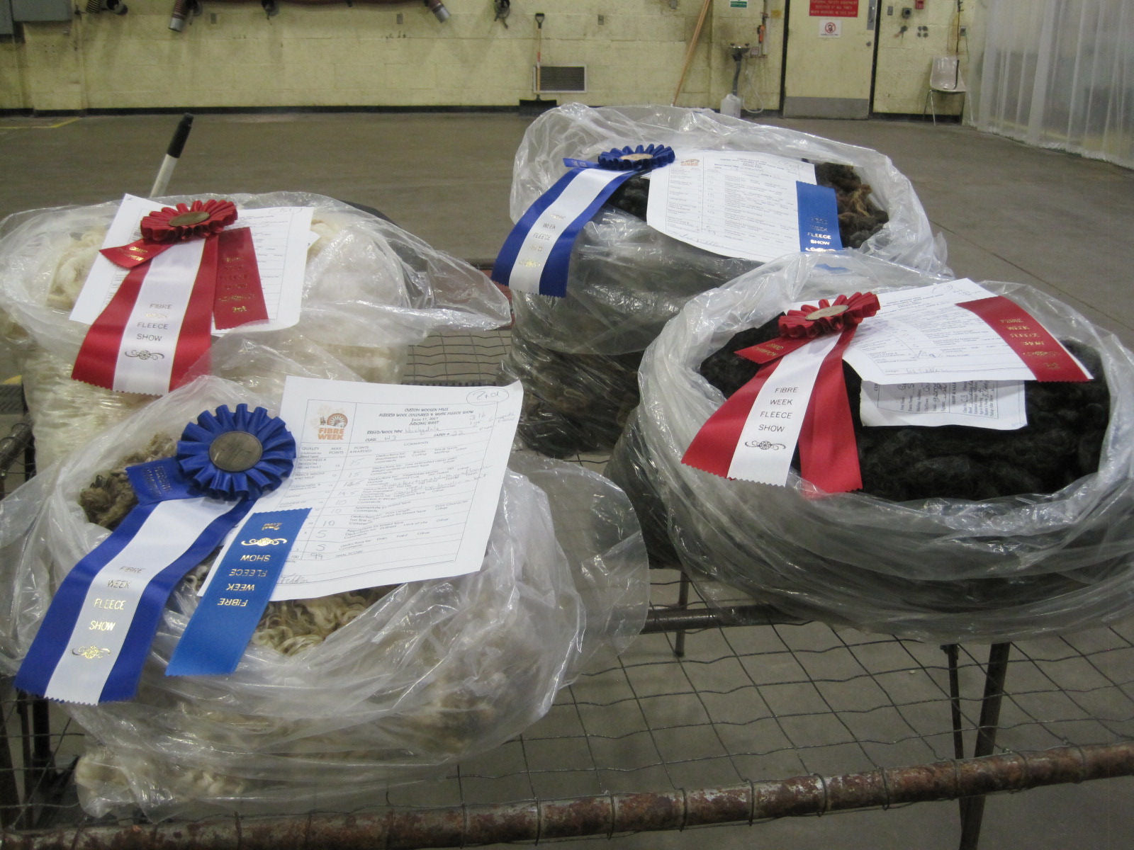 Bags of pet food with ribbons and certificates on a table in an indoor setting