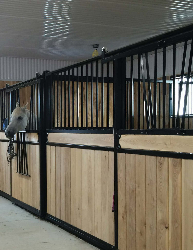 Horse in a stable with wooden panels and black metal bars
