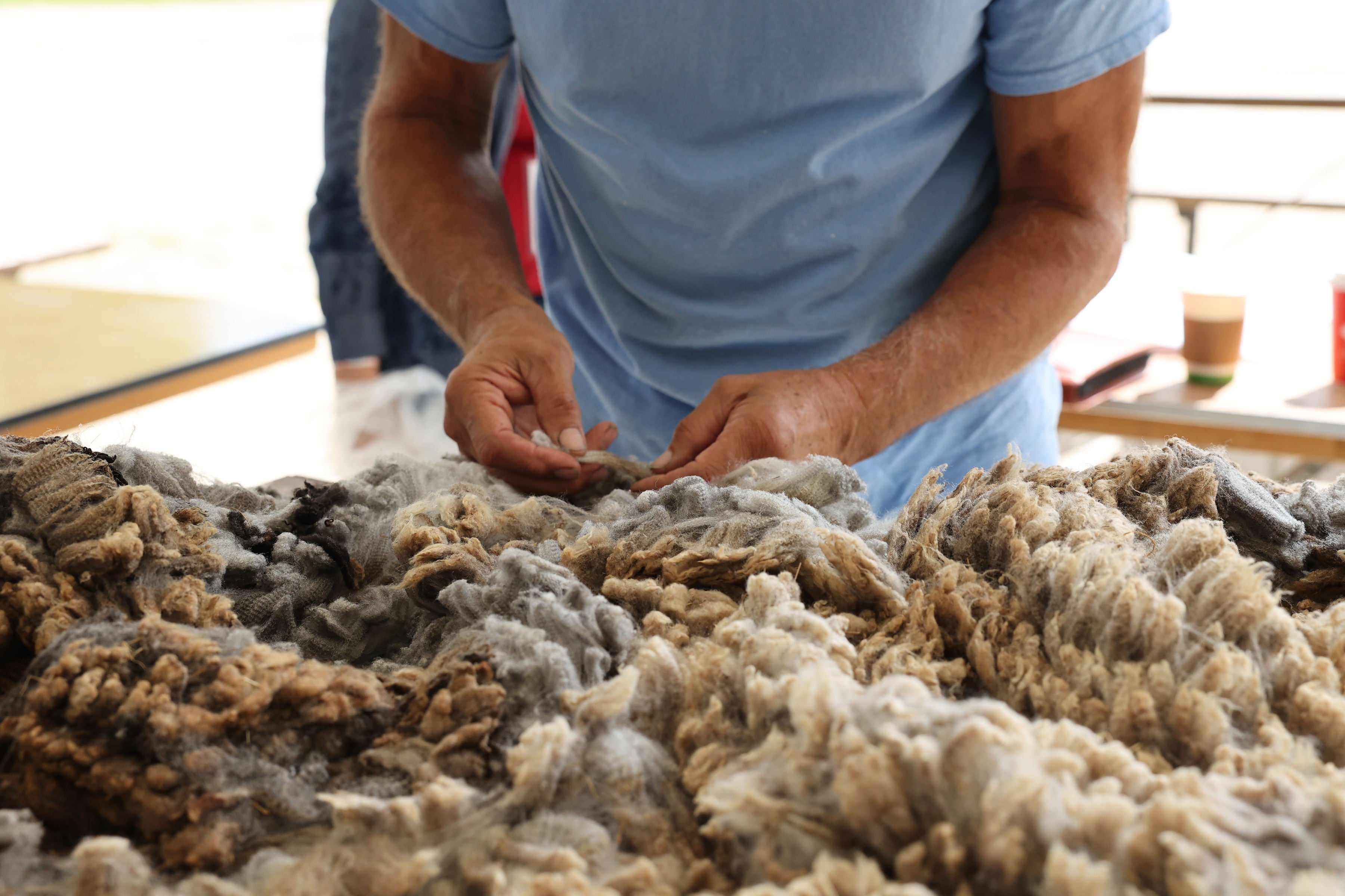 Person handling a large pile of wool fibers
